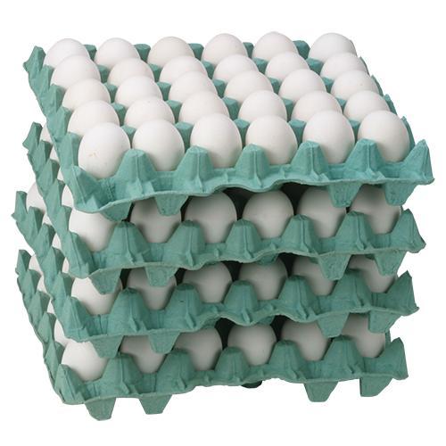 Ovos Brancos Extra / Caixa C/ 30 Dúzias