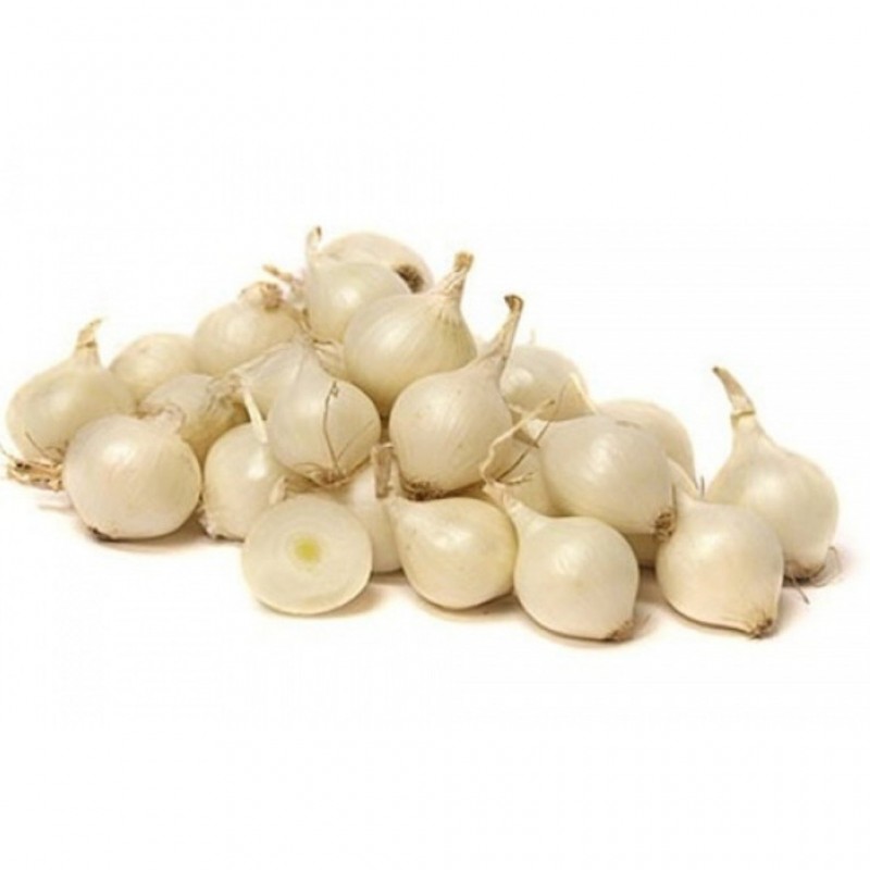 Cebola Para Conserva/ Caixa C/ 20Kg Cebola Para Conserva/ Caixa C/ 20Kg