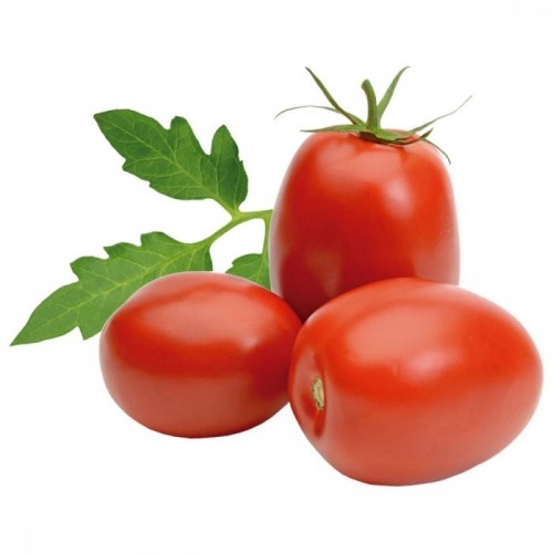 Tomate italiano / Caixa C/ 15Kg